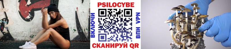 Галлюциногенные грибы Psilocybine cubensis  Яхрома 